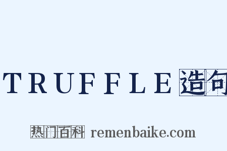 TRUFFLE造句是什么意思的图片